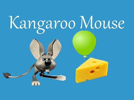 kangaroo-mouse